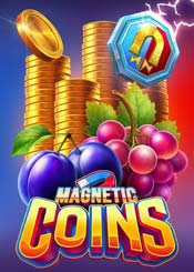 Magnetic Coins